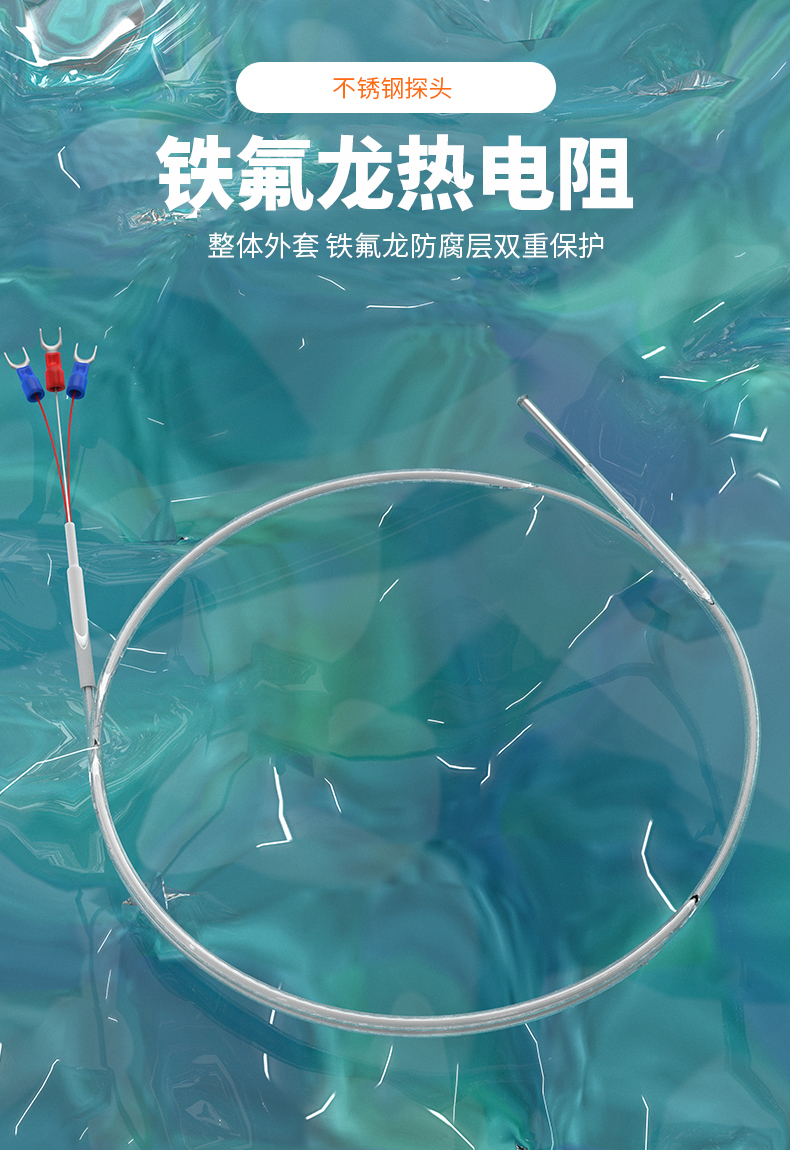 鐵氟龍熱電阻12_http://m.r260.cn_溫度儀表_第4張