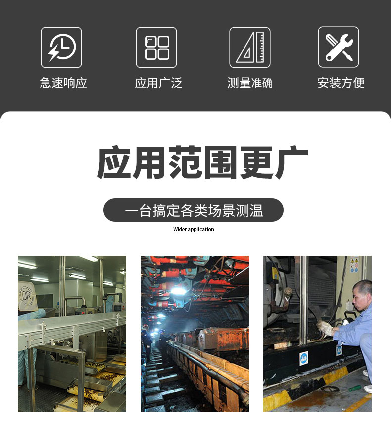 PT100溫度傳感器20_http://m.r260.cn_溫度儀表_第6張